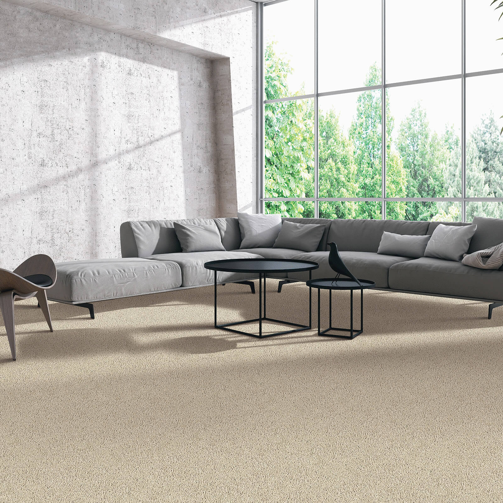 carpet in living room | Dehart Tile