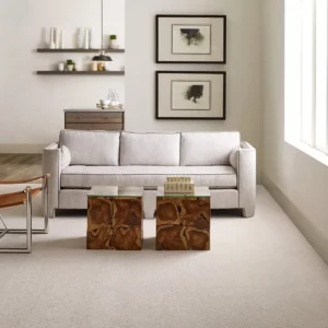 living room Carpet | Dehart Tile