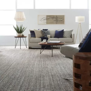 Carpet in a modern living room | Dehart Tile