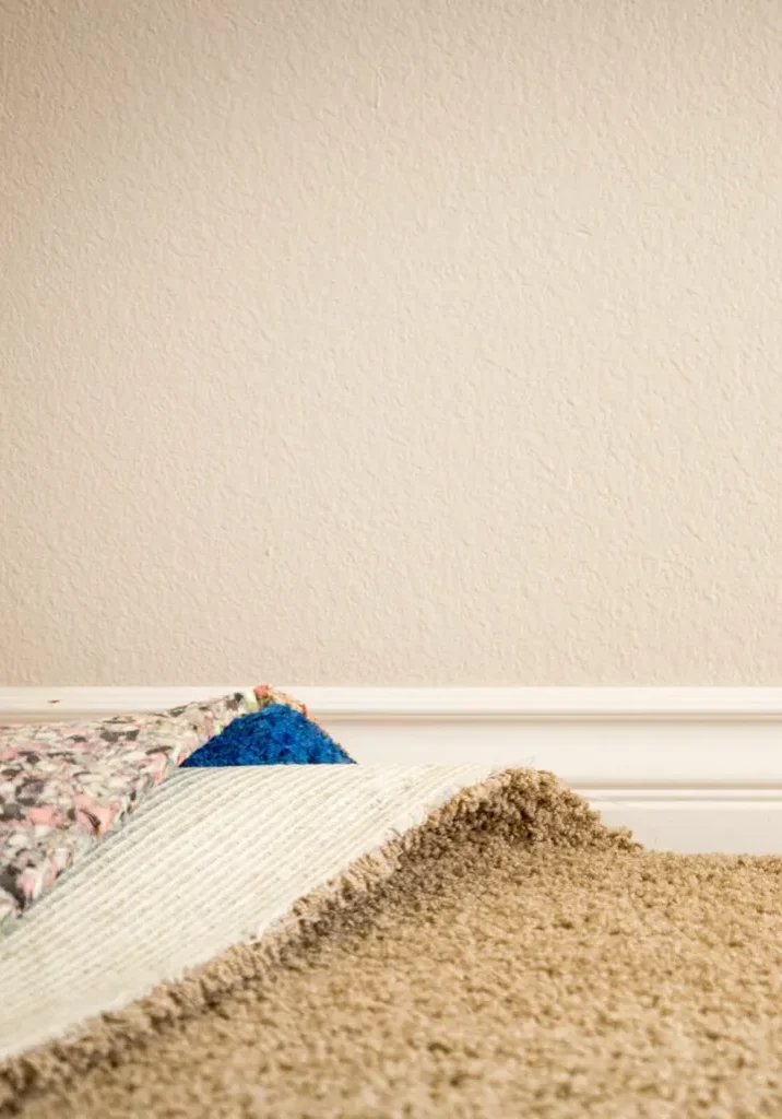 carpet_installation6_1600x1600 carpet_installation6_1600x1600